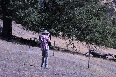 DSC_2237 (Large).JPG